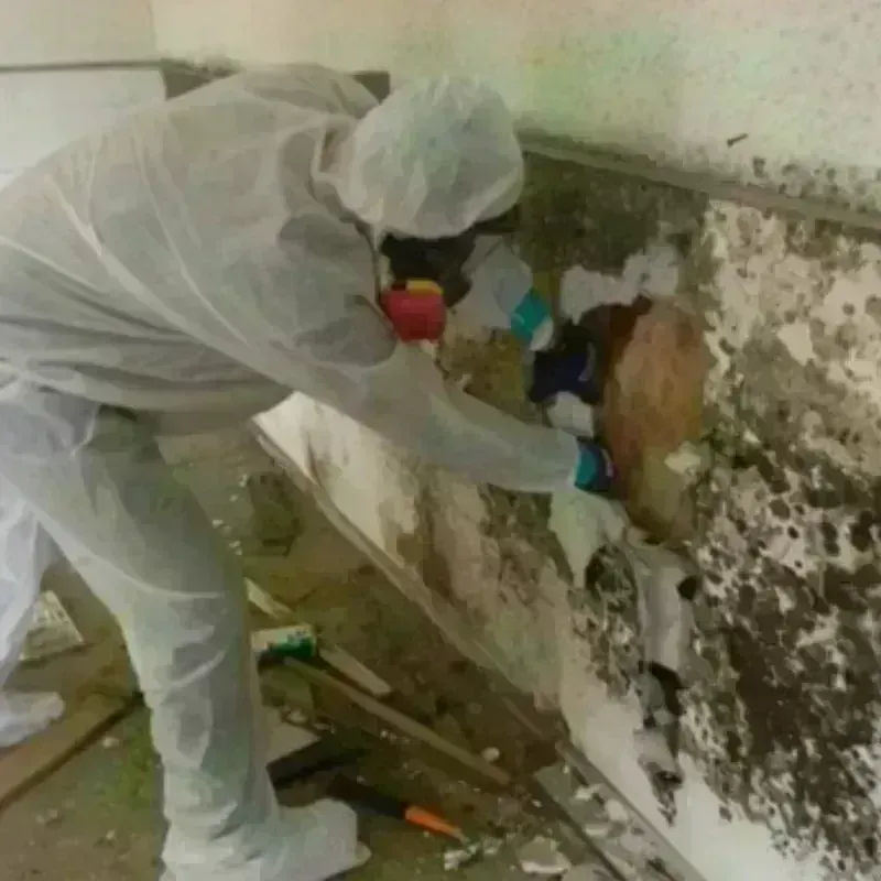 Best Mold Remediation and Removal Service in Sioux County, ND