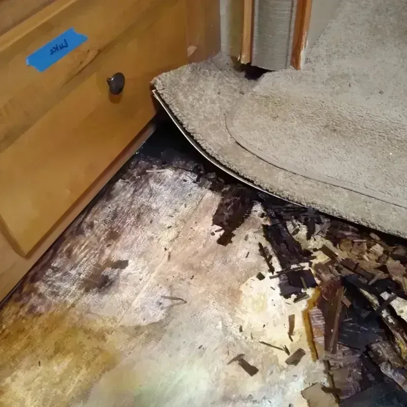 Wood Floor Water Damage in Sioux County, ND